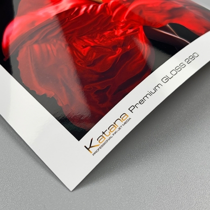 Premium Gloss 290