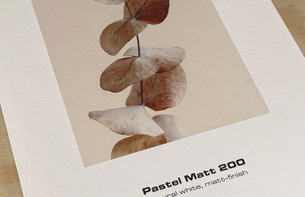 Pastel Matt 200