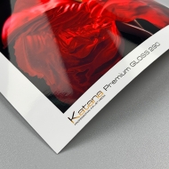 Premium Gloss 290