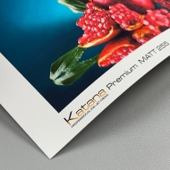 Premium Matt 255