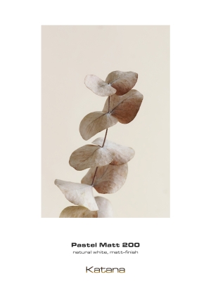Pastel Matt 200
