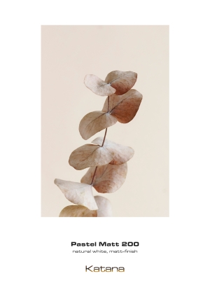 Pastel Matt 200