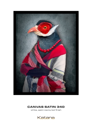 Canvas Satin 340